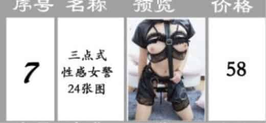 微博红人@（桃桃酱）系列（07）价值58元黑丝情趣三点式女警服原版高清图包（24P）[28.98M]插图