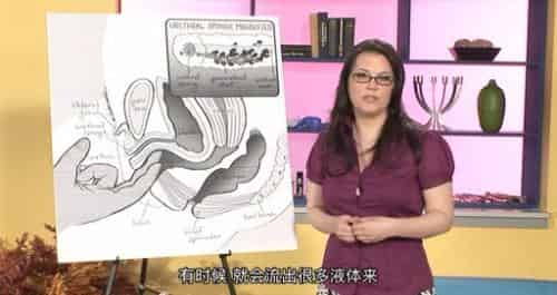 [精选欧美高清视频]专家指导你寻找女性G点现场真人示范中文字幕733M插图